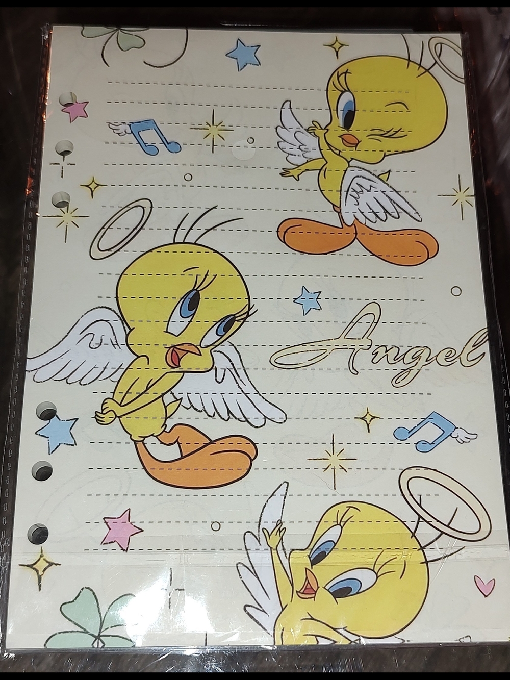 New! A5 Size Tweety Bird Refill Paper